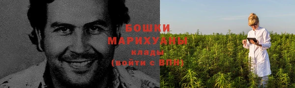 прущие крисы Елизово